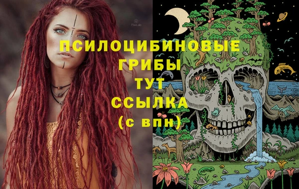 гашик Абинск